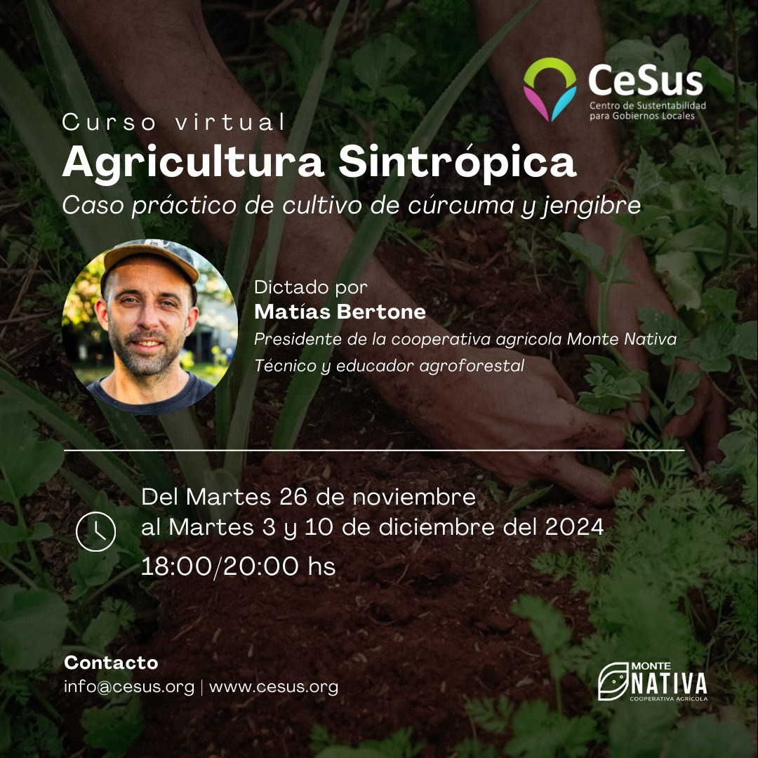 A Importância da Cobertura do Solo na Sintropia