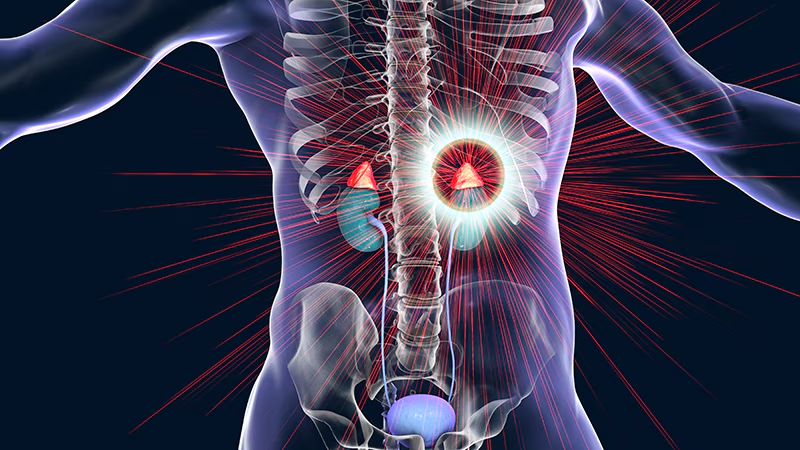 Receitas para Doença de Addison com Baixo Potássio