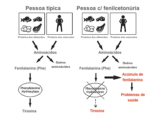 Receitas Deliciosas e Seguras para Fenilcetonúricos