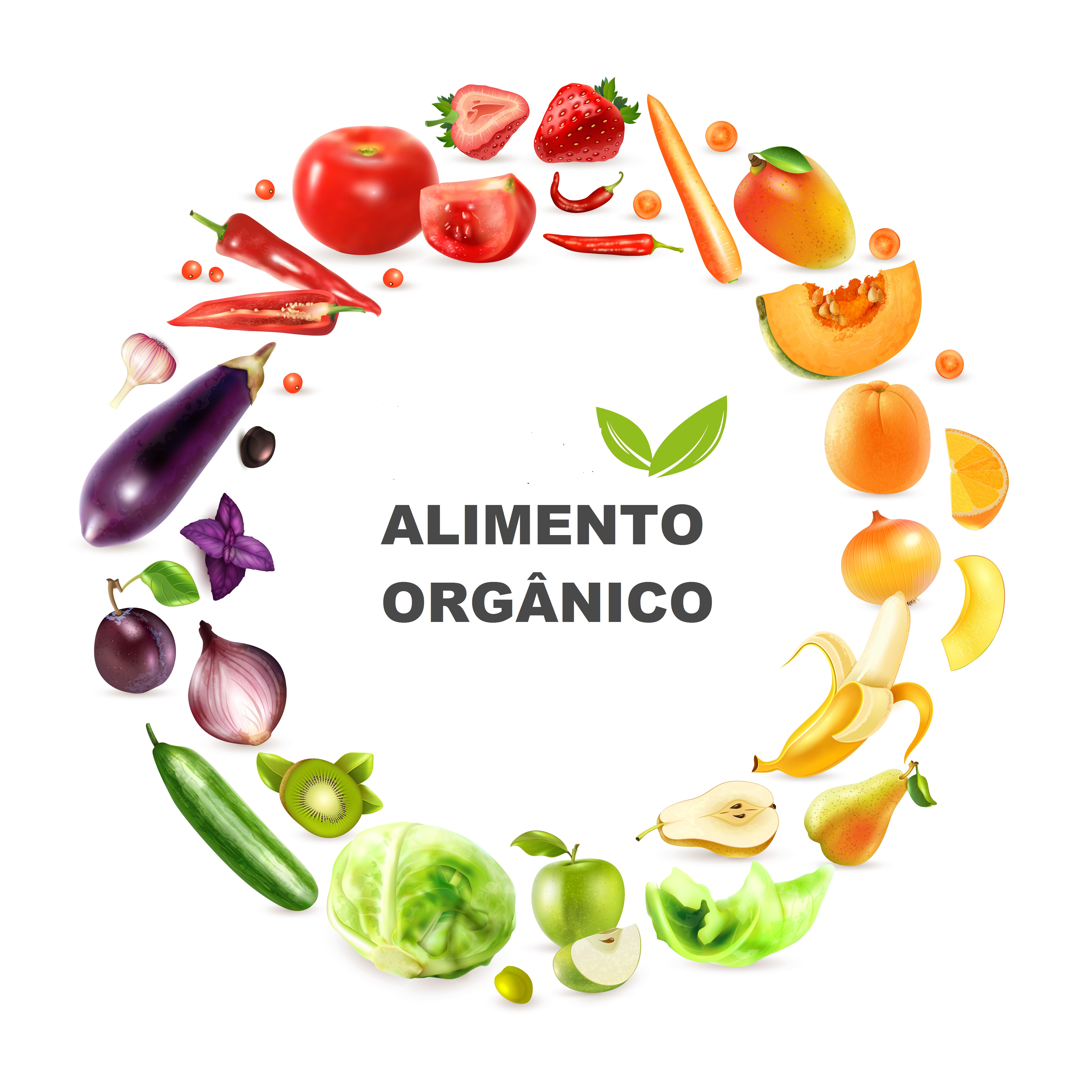 como identificar alimento orgânico