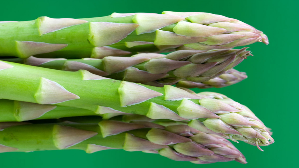 Guia Completo: Suplementos Naturais para Testosterona