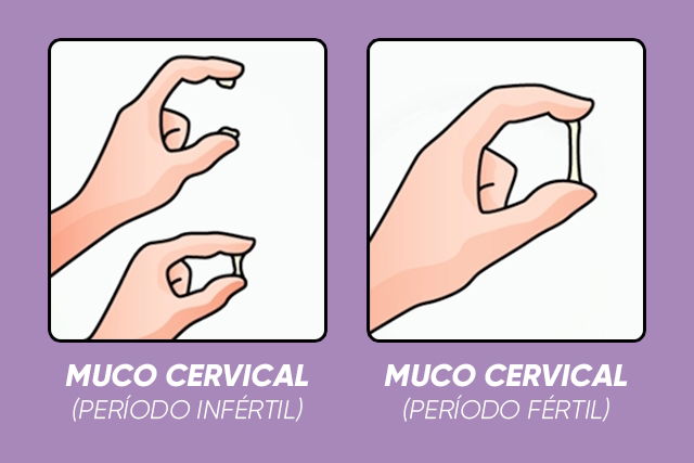 5 Chás para Aumentar o Muco Cervical