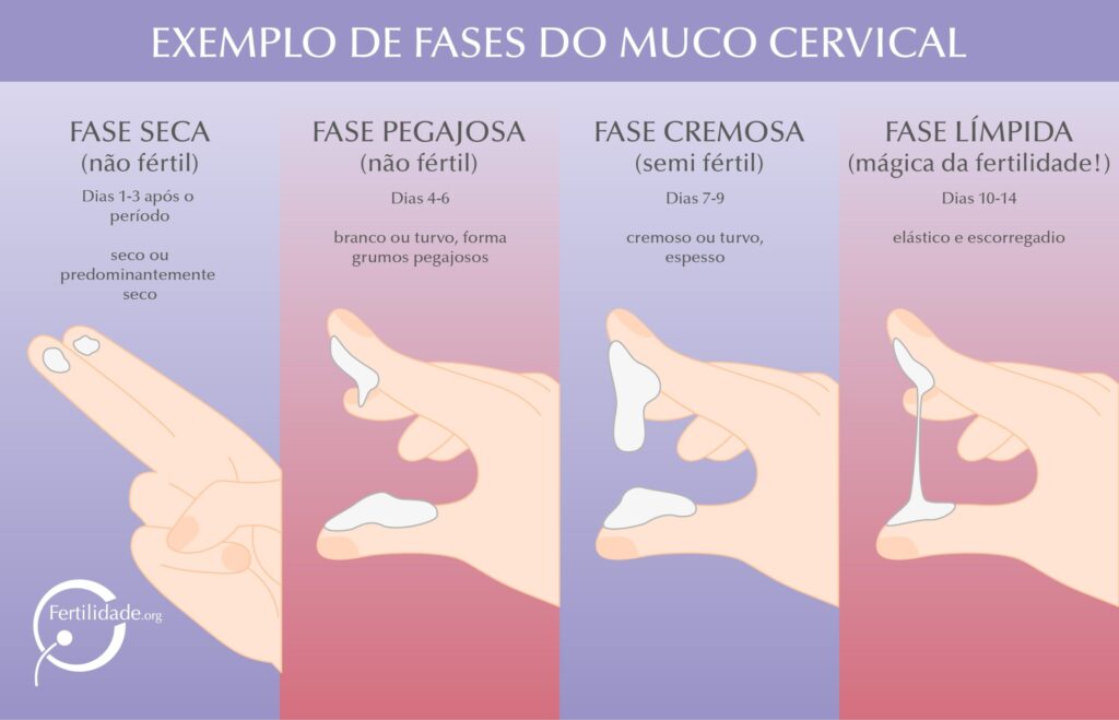 Suplementos Essenciais para a Fertilidade Feminina