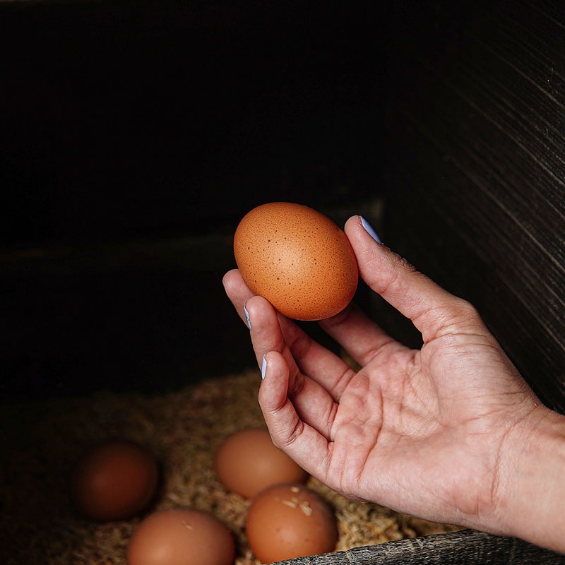Receitas Ricas em Antioxidantes para Saúde Ocular