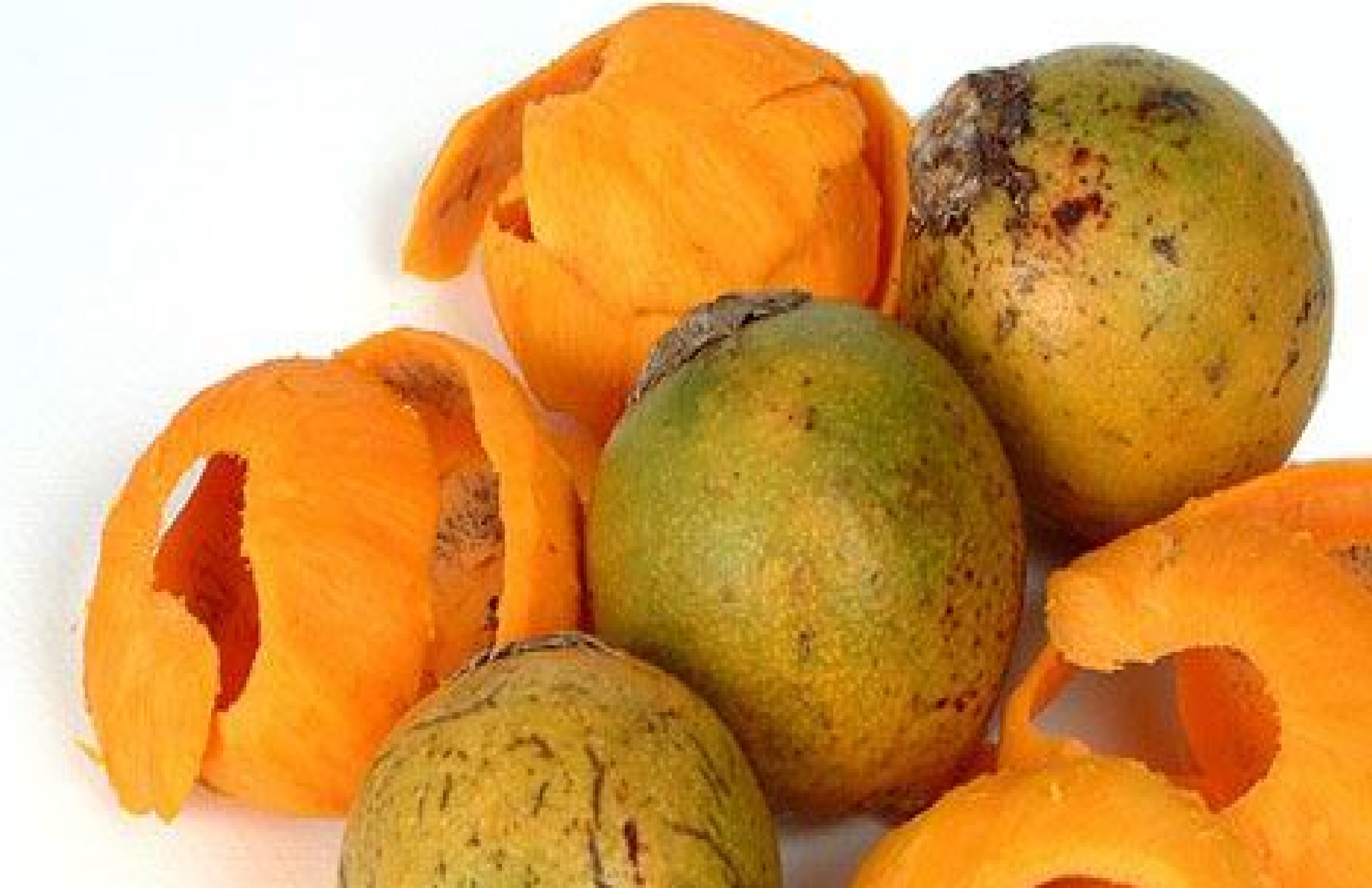 Como interpretar resultados de exames de cólon