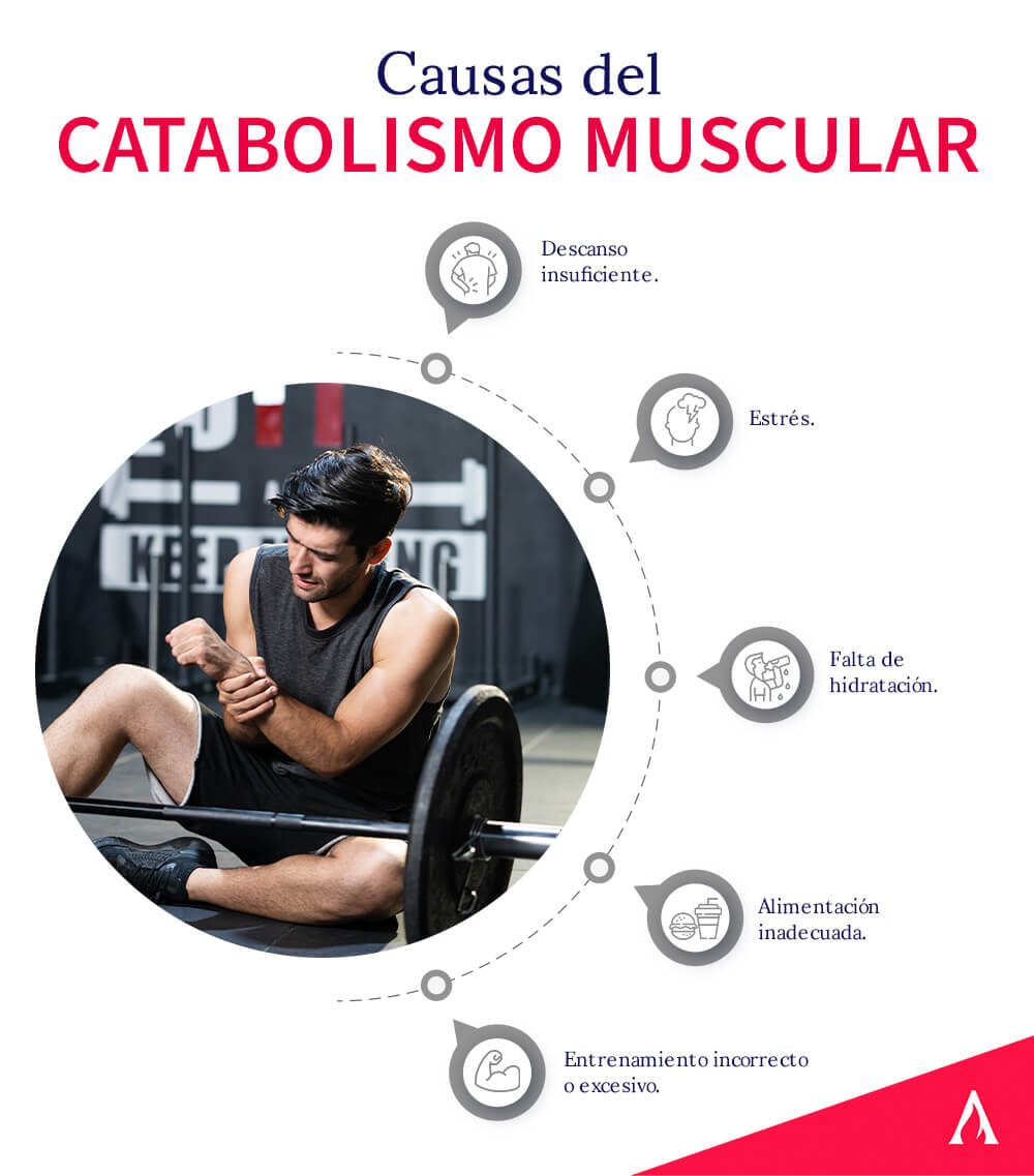 alimentos para evitar o catabolismo muscular