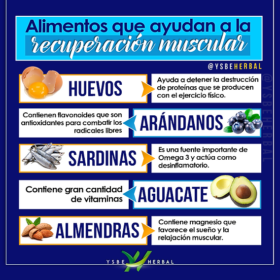 alimentos para evitar o catabolismo muscular
