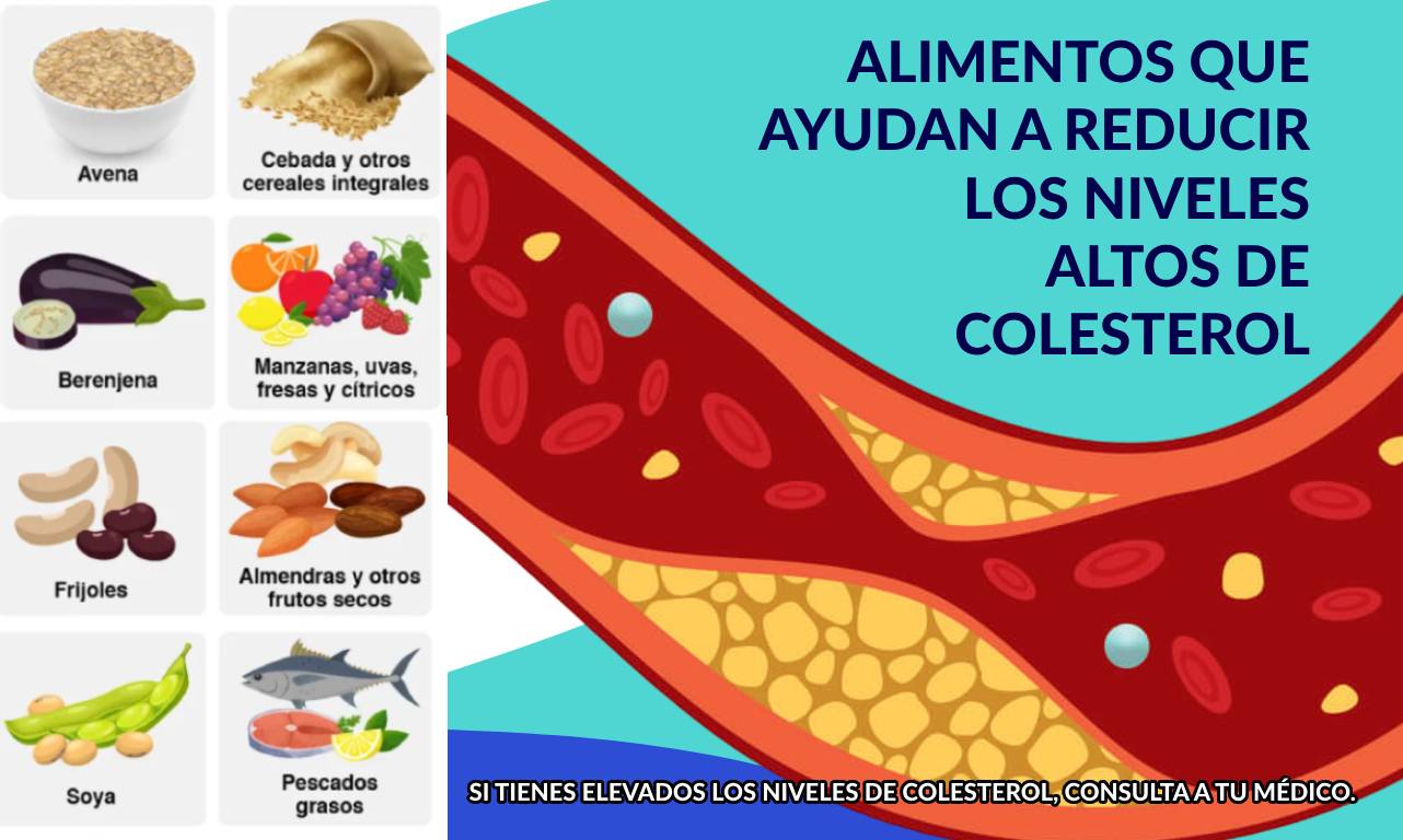Guia Completo de Peixes Ricos em Ômega 3
