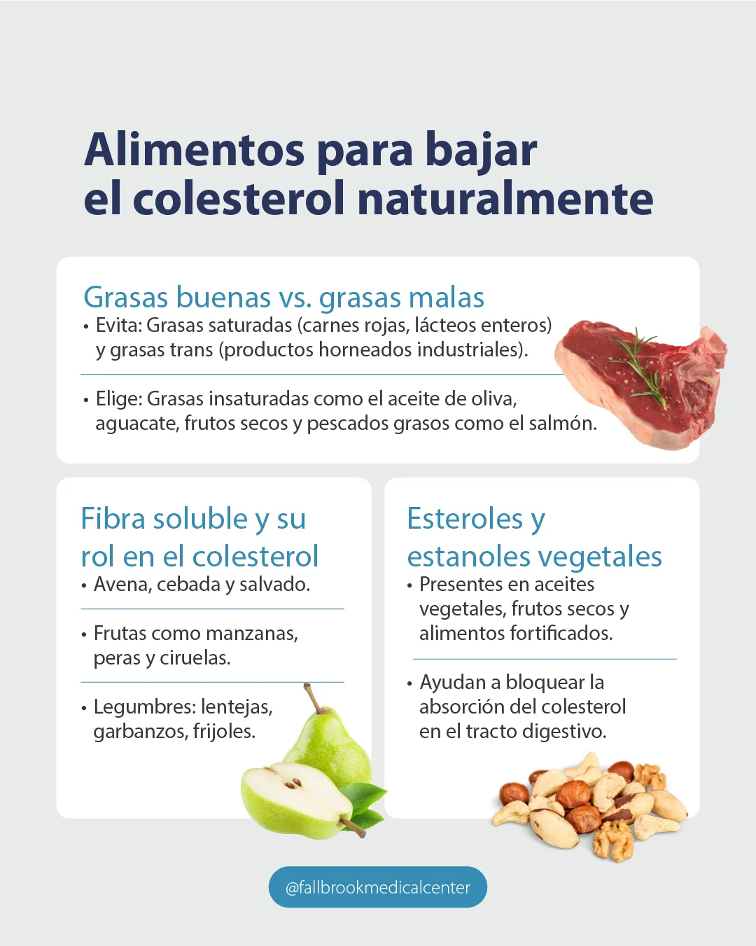 Benefícios das Oleaginosas para a Saúde do Coração