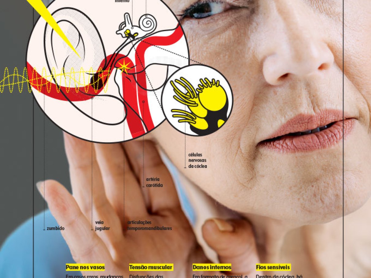 O Papel das Gorduras na Saúde Auditiva