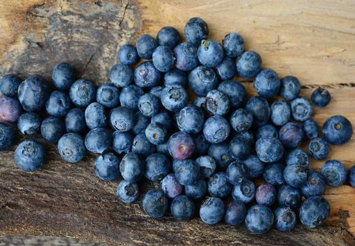 alimentos para limpar as artérias