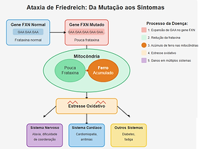 3. Suplementos Nutricionais para Ataxia de Friedreich: O Que Você Precisa Saber