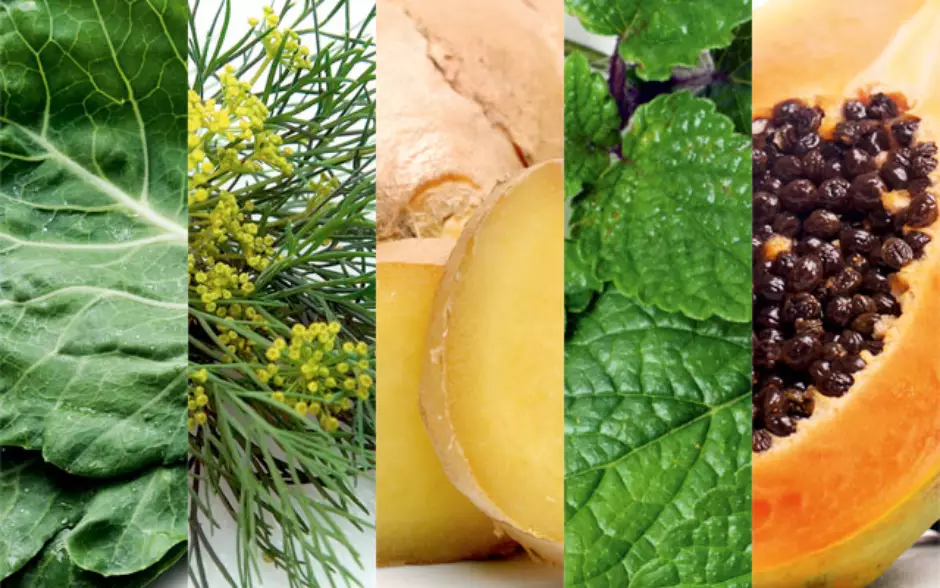 Como diferenciar esofagite de refluxo: sintomas e diagnóstico