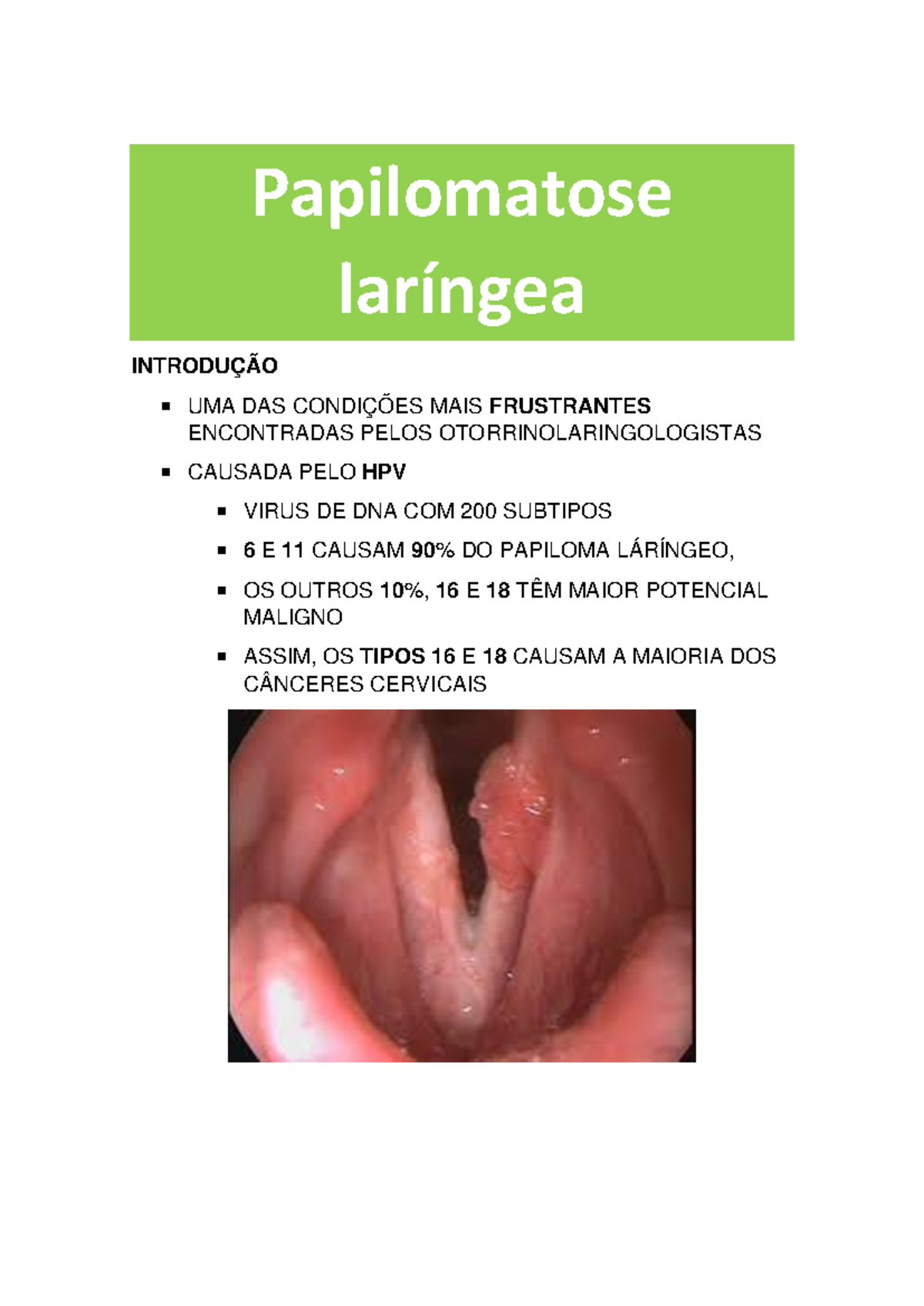 Dieta para Fortalecer o Sistema Imunológico: Guia Completo