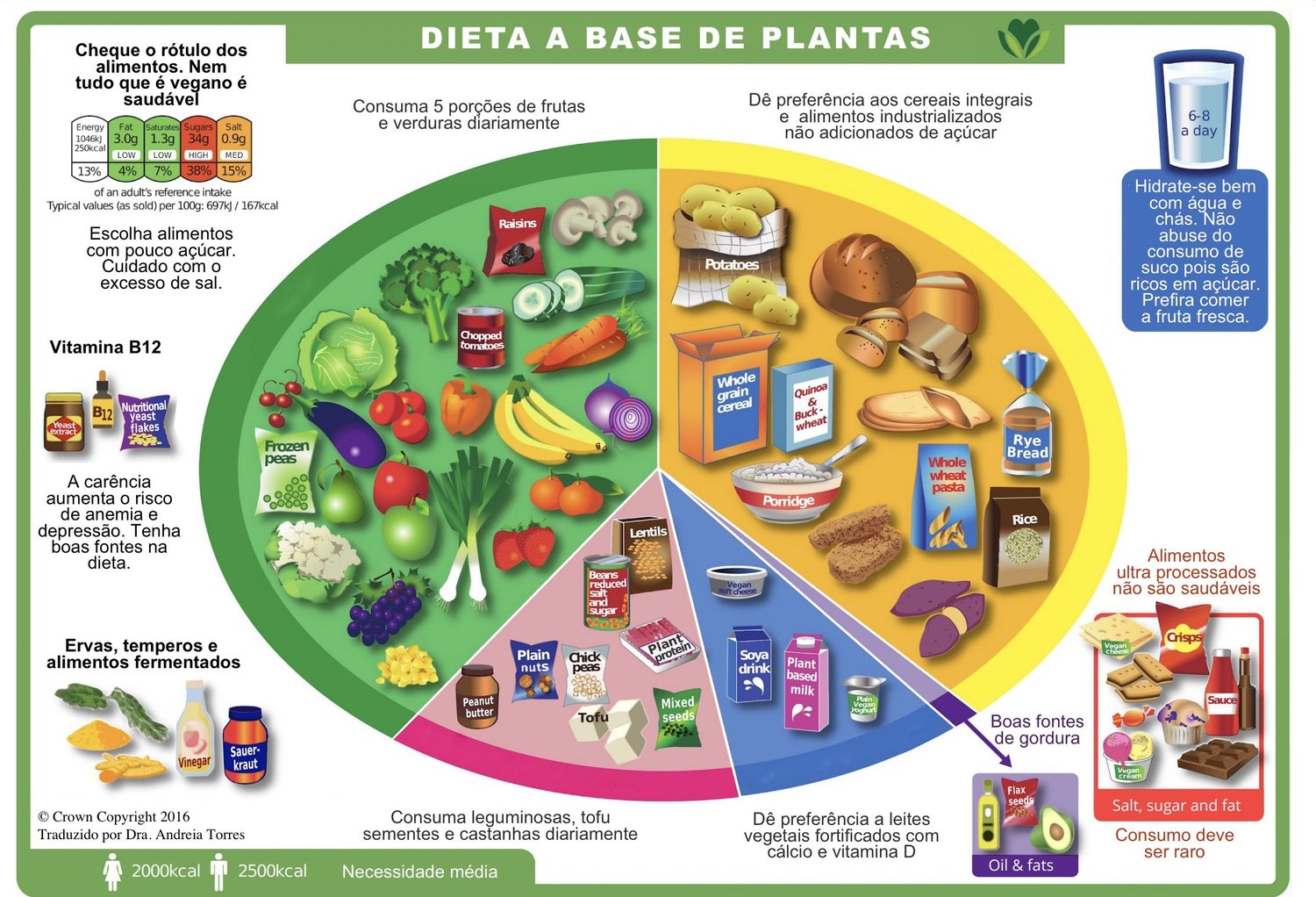 Exame de Vitamina B12: Quando Fazer e Como Interpretar os Resultados