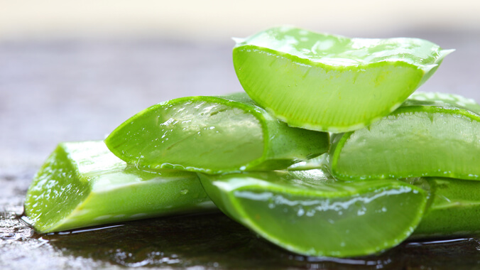 Suco de babosa: receita e cuidados para o consumo interno
