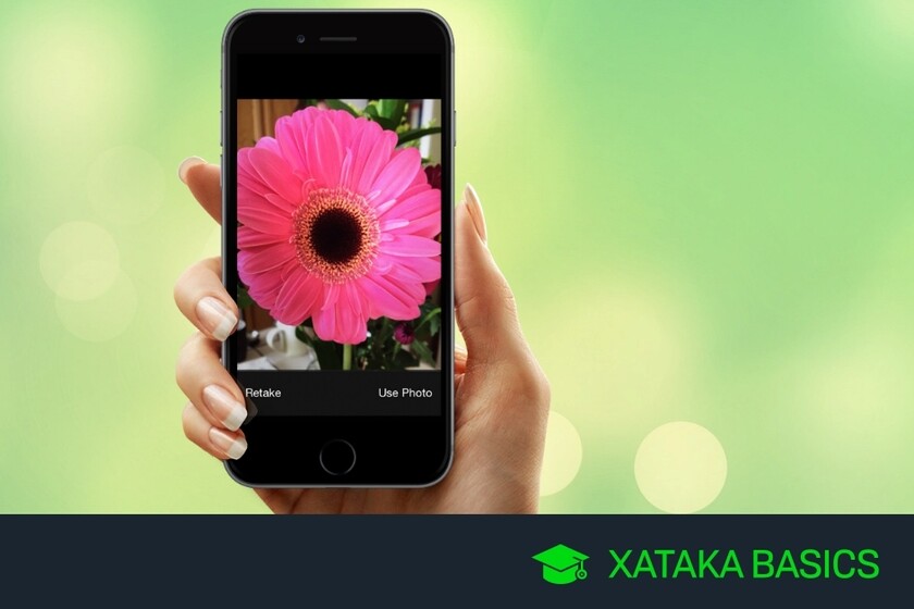 aplicativos para identificar plantas