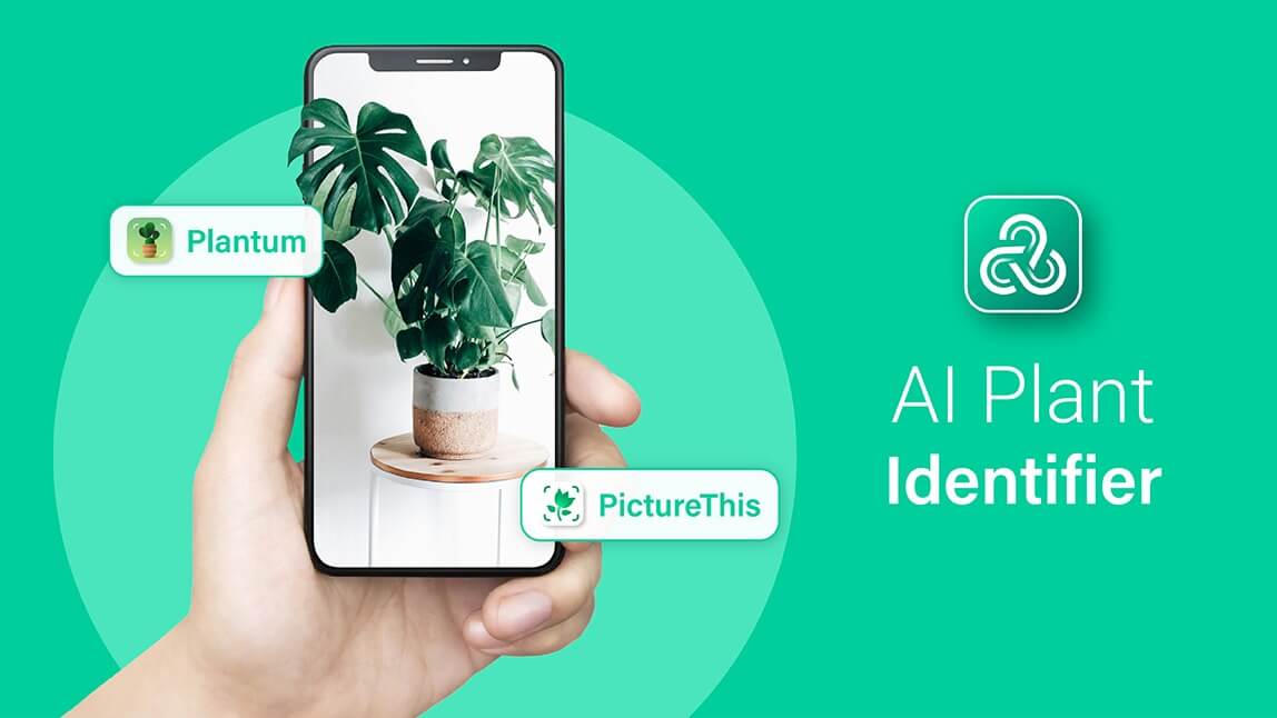 aplicativos para identificar plantas