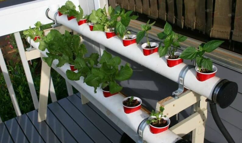 Desmistificando a Ciclagem: O Segredo para uma Aquaponia Saudável