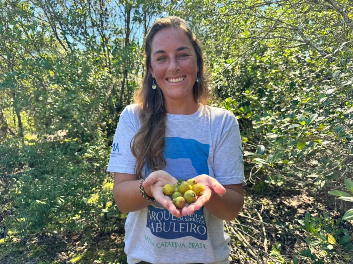 Araçá na Gastronomia: Receitas Criativas e Deliciosas