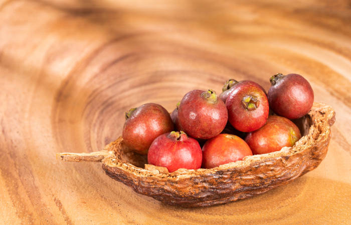 Guia Completo: Como Cultivar Araçá em Casa