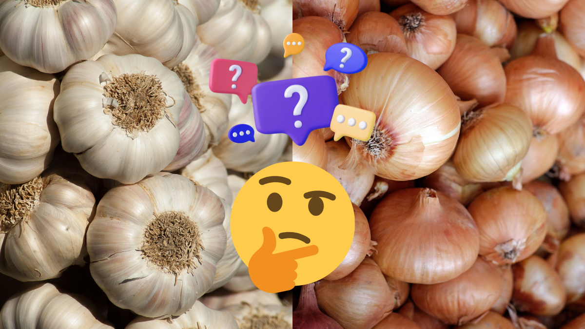 O que acontece se guardar cebola cortada na geladeira