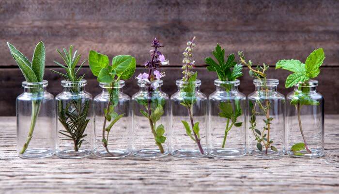 Receitas de Sprays Naturais para Aromatizar sua Casa