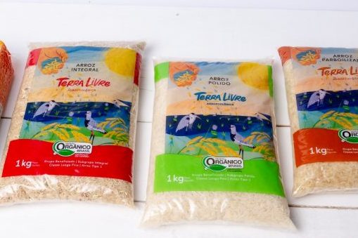 Arroz do MST é o maior produtor orgânico da América Latina