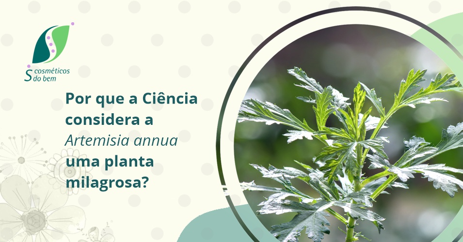 artemisinina para que serve