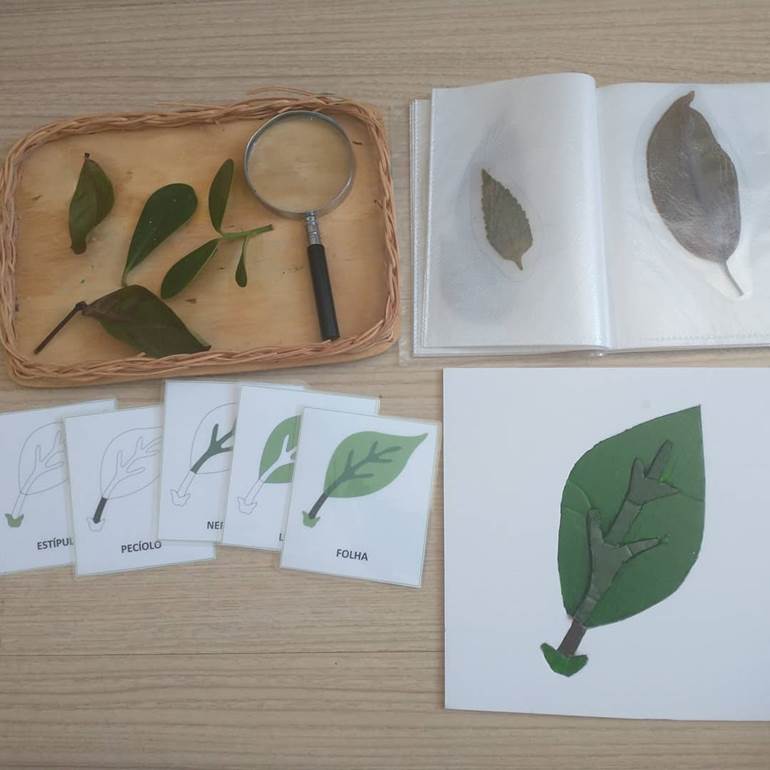 5 ideias de esculturas com sementes e pedras