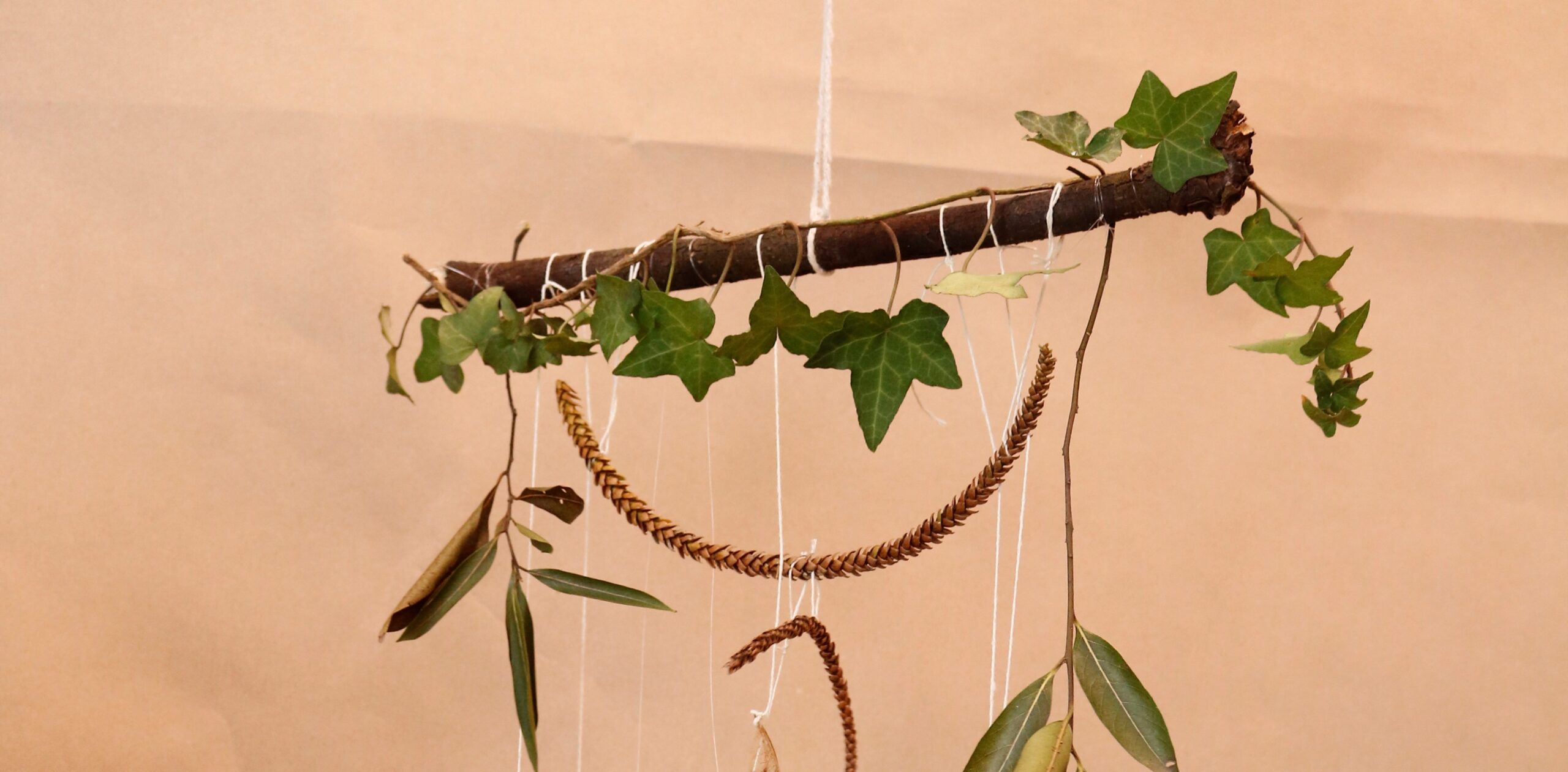 Técnicas de esqueletização de folhas para artesanato