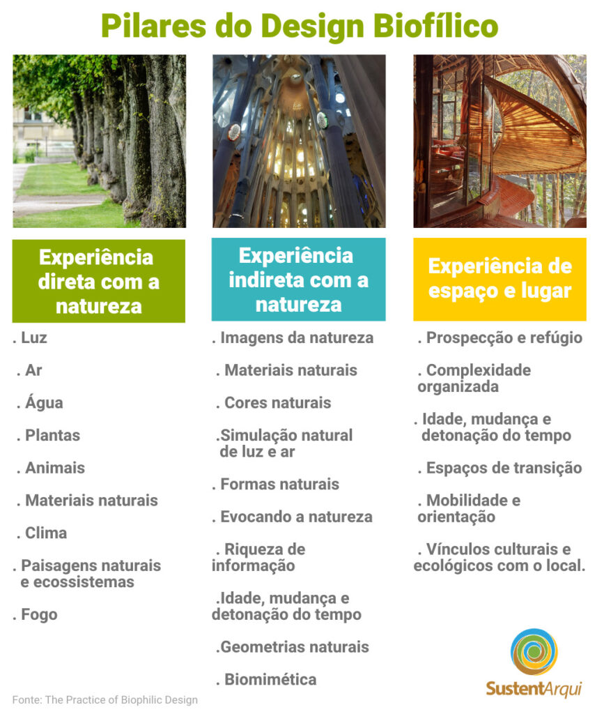 arvores e a arquitetura biofilica