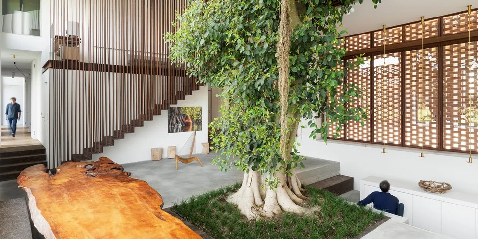 arvores e a arquitetura biofilica