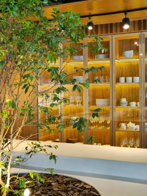 arvores e a arquitetura biofilica