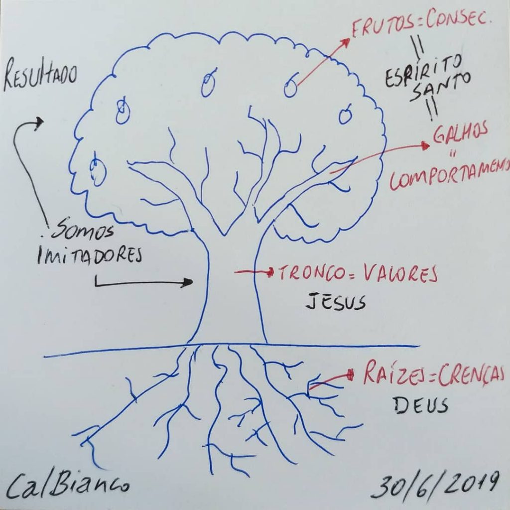 Oliveira, Figueira e Videira: Significados das Árvores Citadas na Bíblia