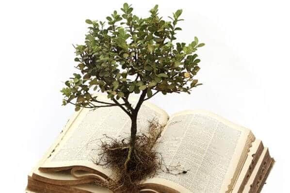 Lições de Resiliência e Crescimento Espiritual Inspiradas nas Árvores Bíblicas