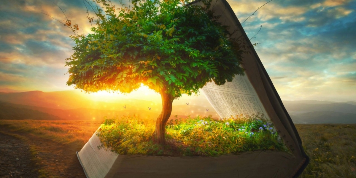 Oliveira, Figueira e Videira: Significados das Árvores Citadas na Bíblia