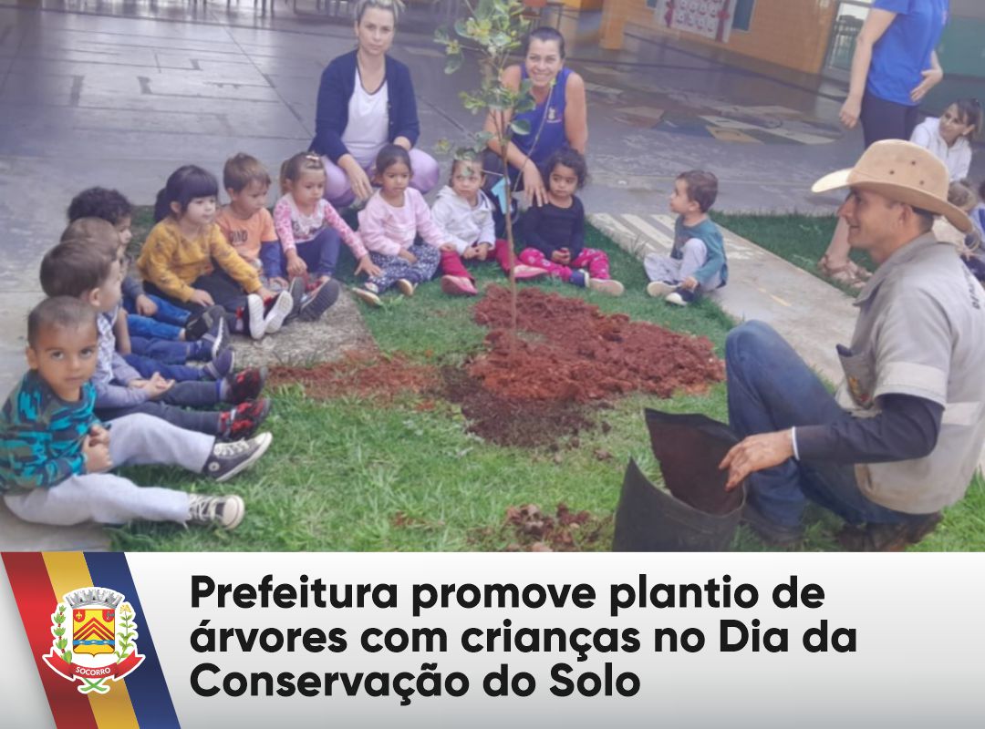 arvores e a conservação do solo