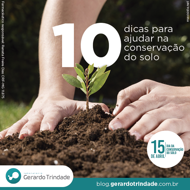 Como a Matéria Orgânica das Árvores Aumenta a Fertilidade do Solo