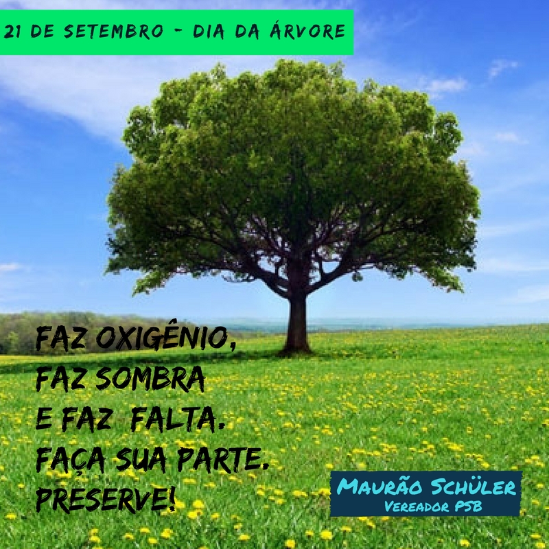 arvores e a conservação do solo