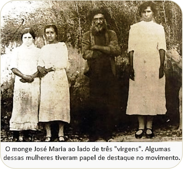 árvores e a guerra do contestado