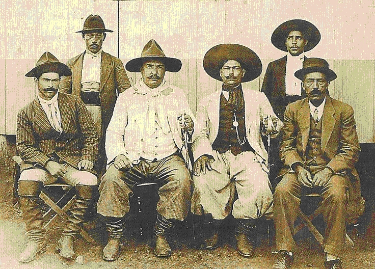 árvores e a guerra do contestado