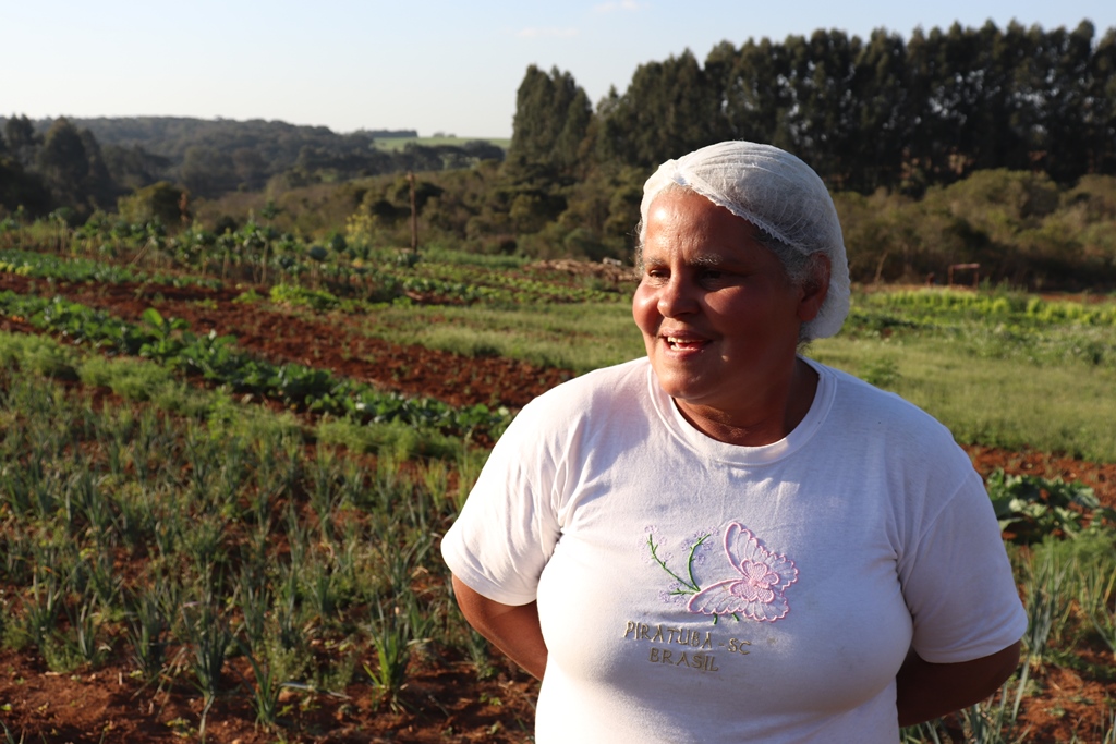 1. A Relação Entre a Exploração Florestal e a Guerra do Contestado
2. O Papel da Erva-Mate no Conflito do Contestado
3. Impactos Ambientais da Guerra do Contestado: Um Legado de Desmatamento
4. A Floresta: Obstáculo e Abrigo na Guerra do Contestado
5. A Southern Brazil Lumber & Colonization Company e o Início da Devastação