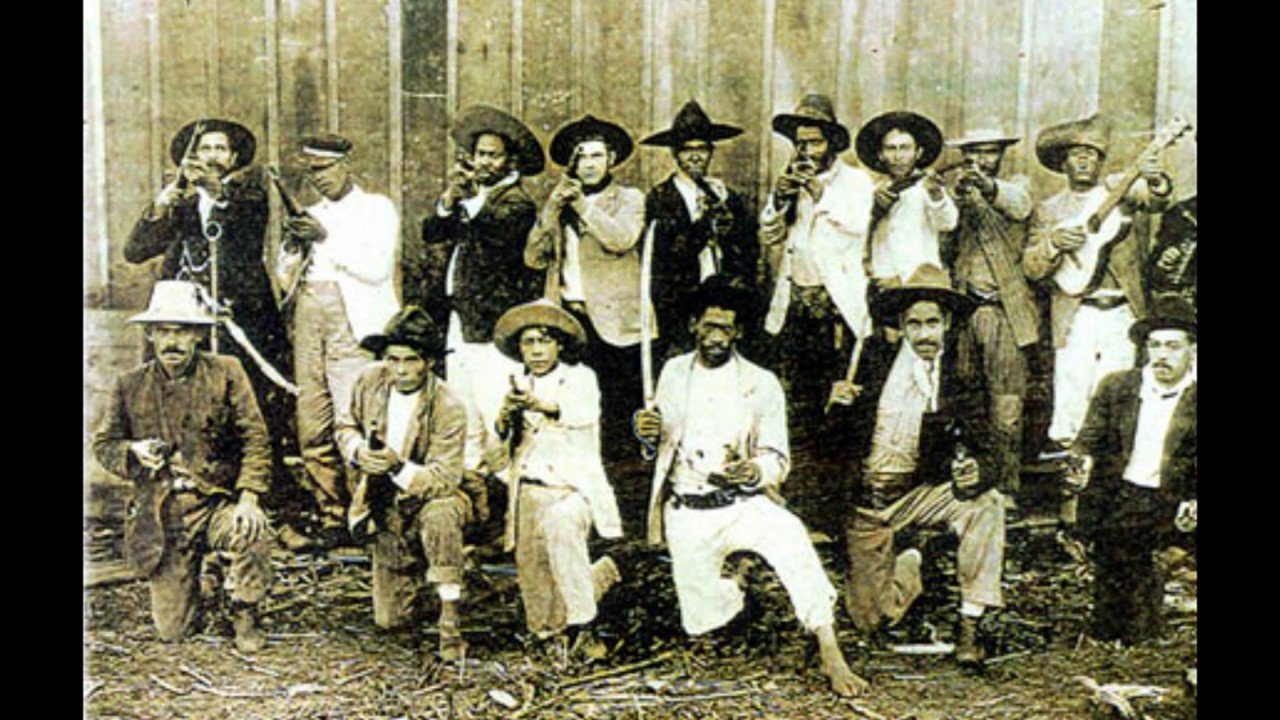 árvores e a guerra do contestado