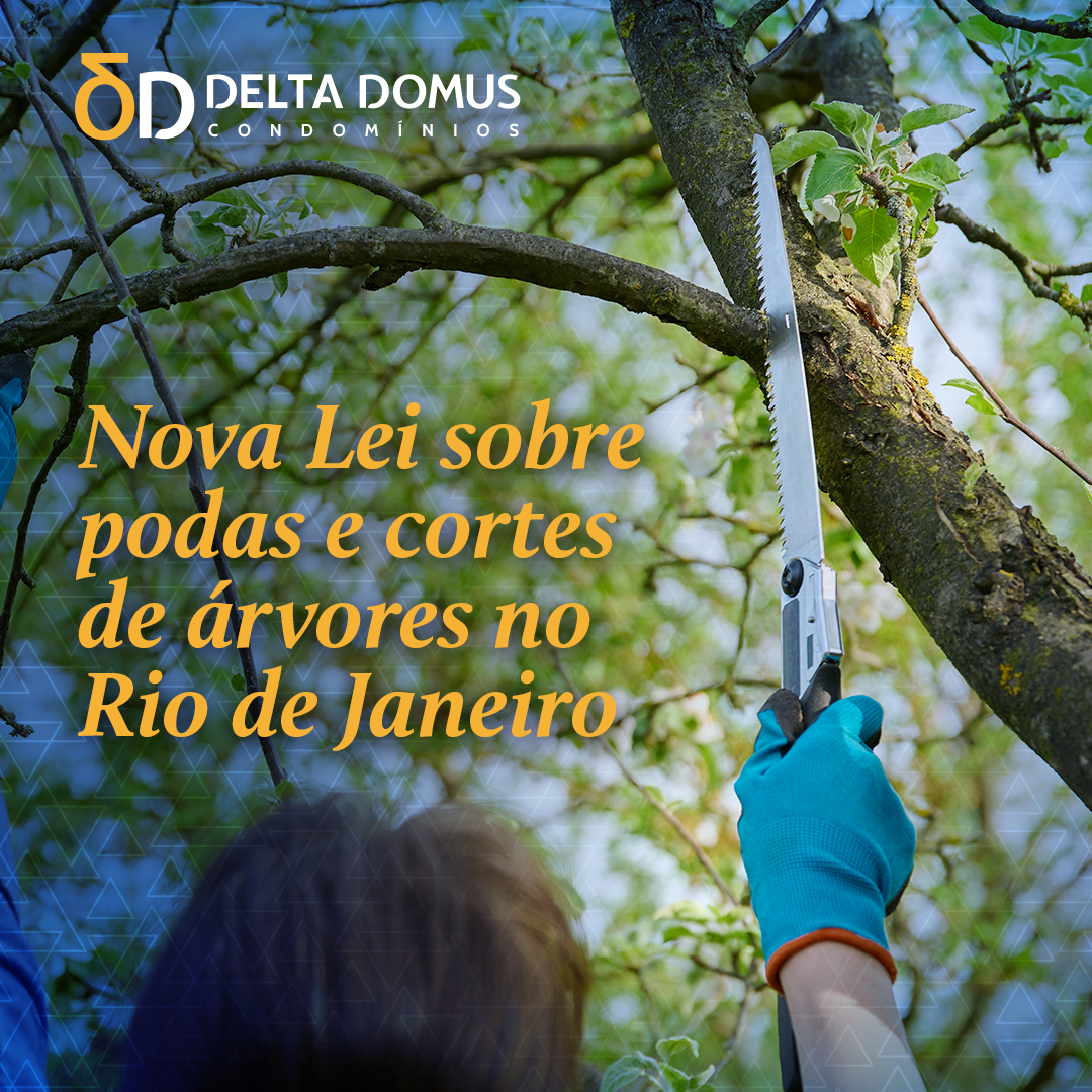 Como obter autorização ambiental para poda de árvores em condomínios