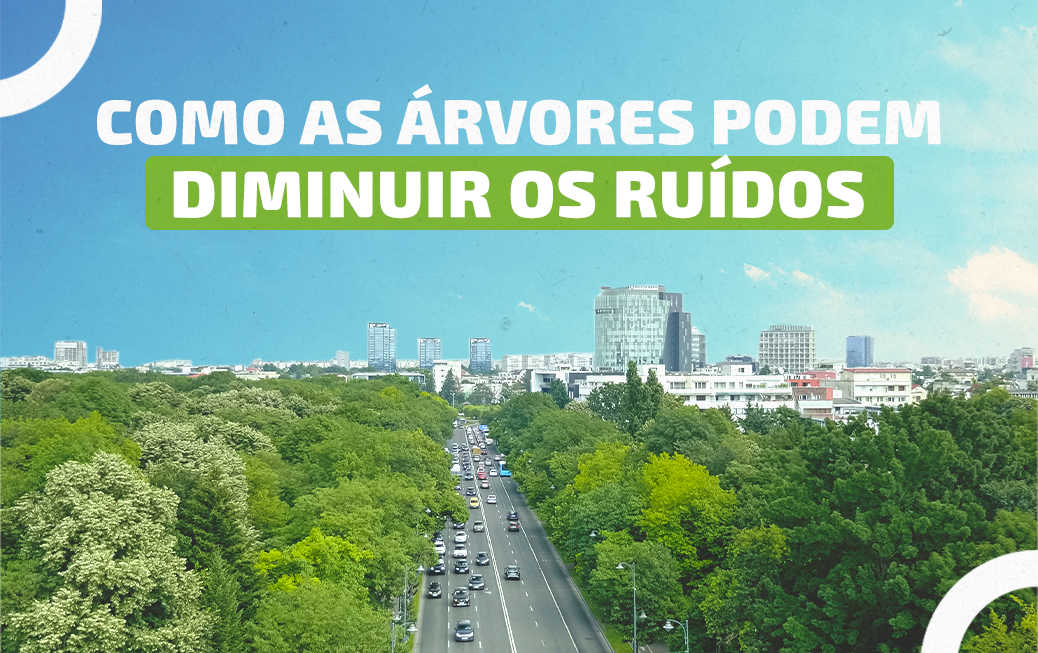 melhores arvores para reduzir barulho de vizinho