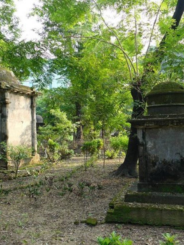 O Simbolismo do Teixo nos Cemitérios Antigos
