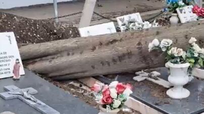 Cemitérios Verdes: O Futuro do Sepultamento