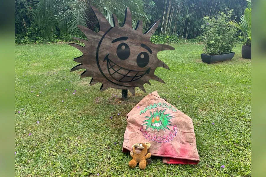 Como as Cerejeiras Simbolizam a Vida nos Cemitérios Japoneses