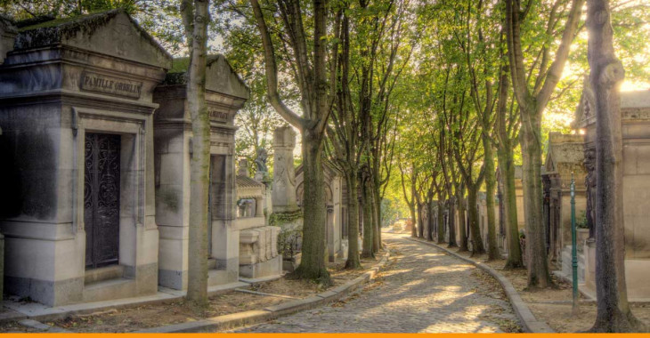 árvores em cemitérios famosos